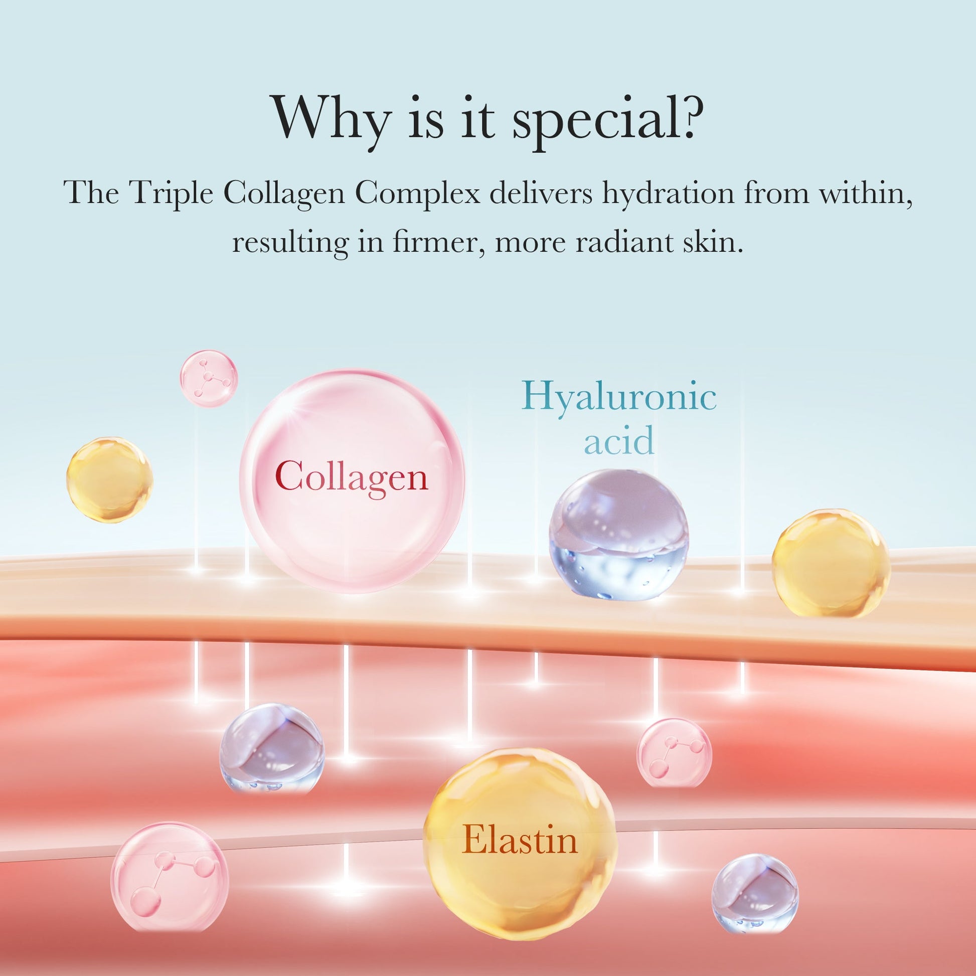 triple-collagen-cream-f2 04_8e4e330d-7d9c-4ff0-93ec-ea541093220c.jpg